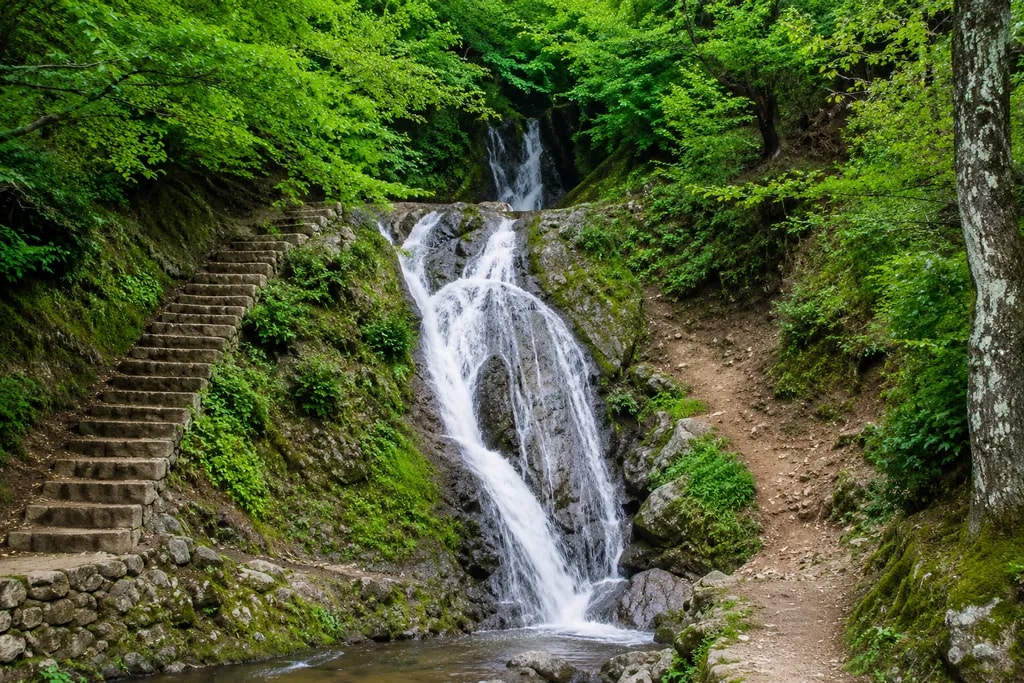 سیاهدول